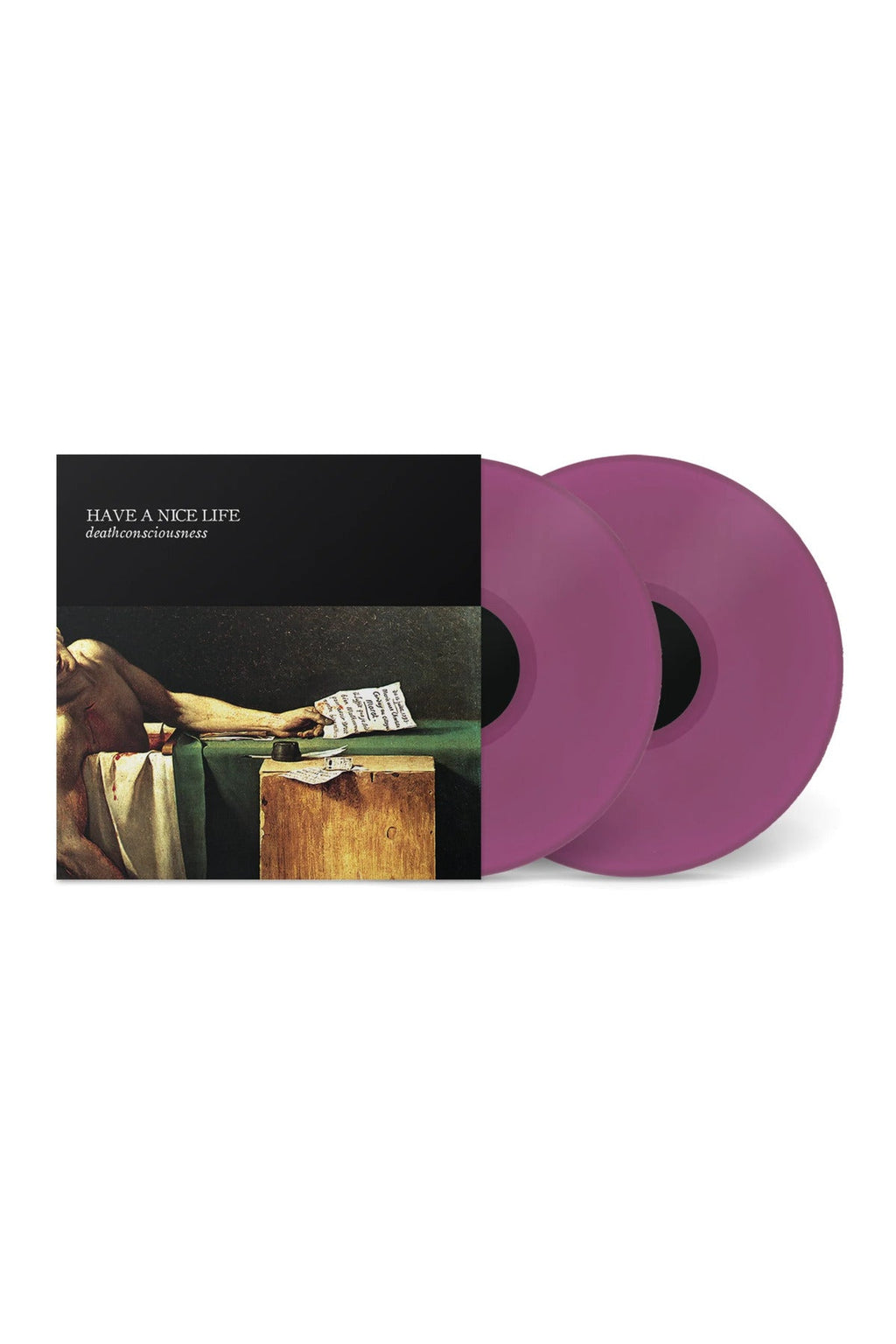 Deathconsiousness Mint Vinyl Edition - Have A Nice Life Vinyl Plak
